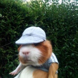 Meet your Posher, Olivia